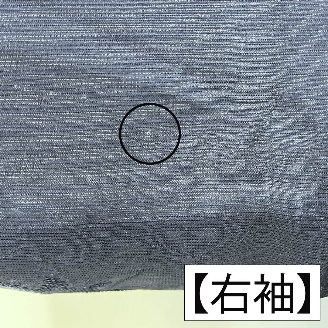 夏物 正絹 色無地 Aランク 身丈159.5cm 裄丈64.5cm 濃紺色（のうこんいろ） 草花模様 紋紗 紗 紺系 1132003723318