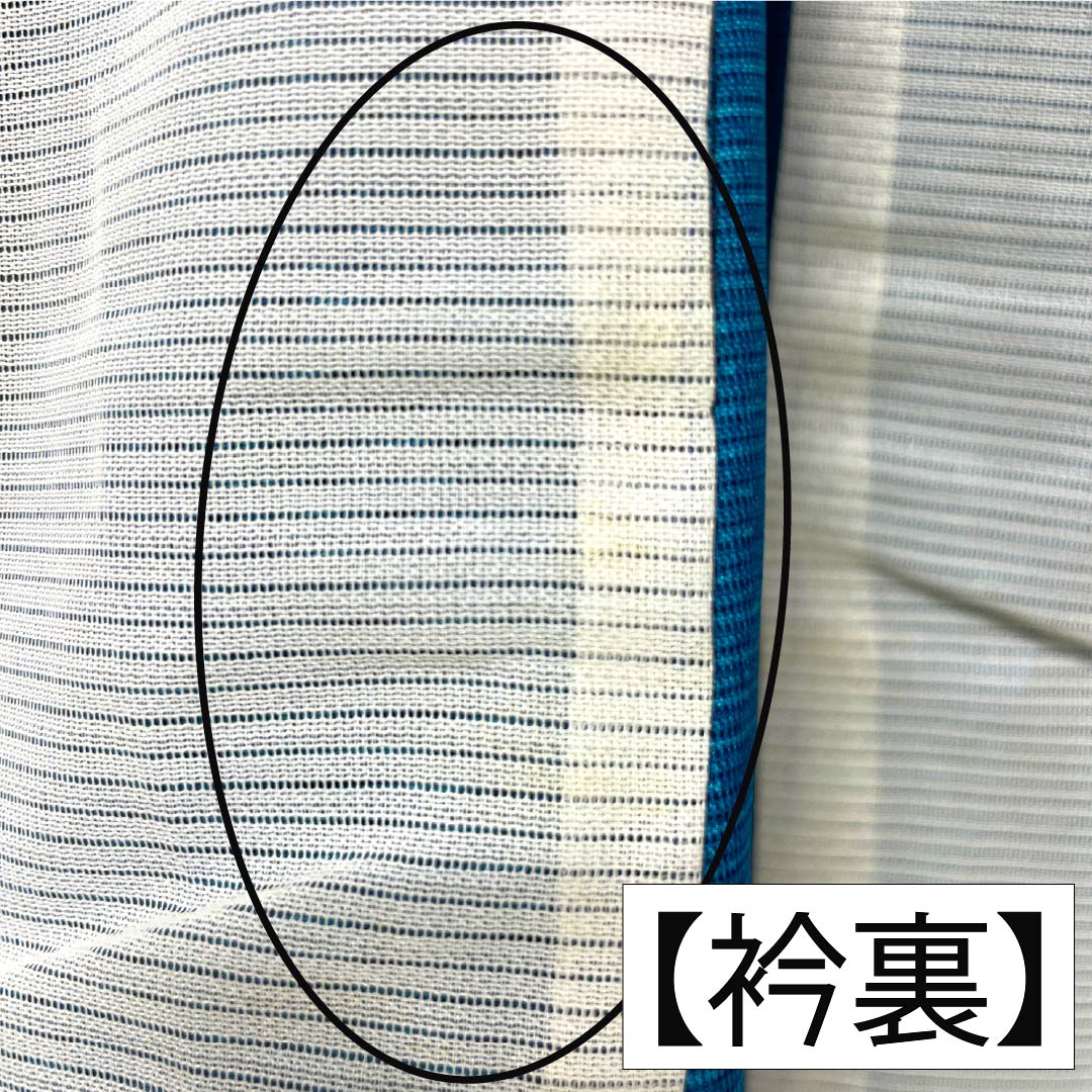 夏物 ポリエステル 付下げ Aランク 身丈163.5cm 裄丈63cm 深縹色（ふかきはなだいろ） 古典柄 洗える着物 絽 青系 1132005263417