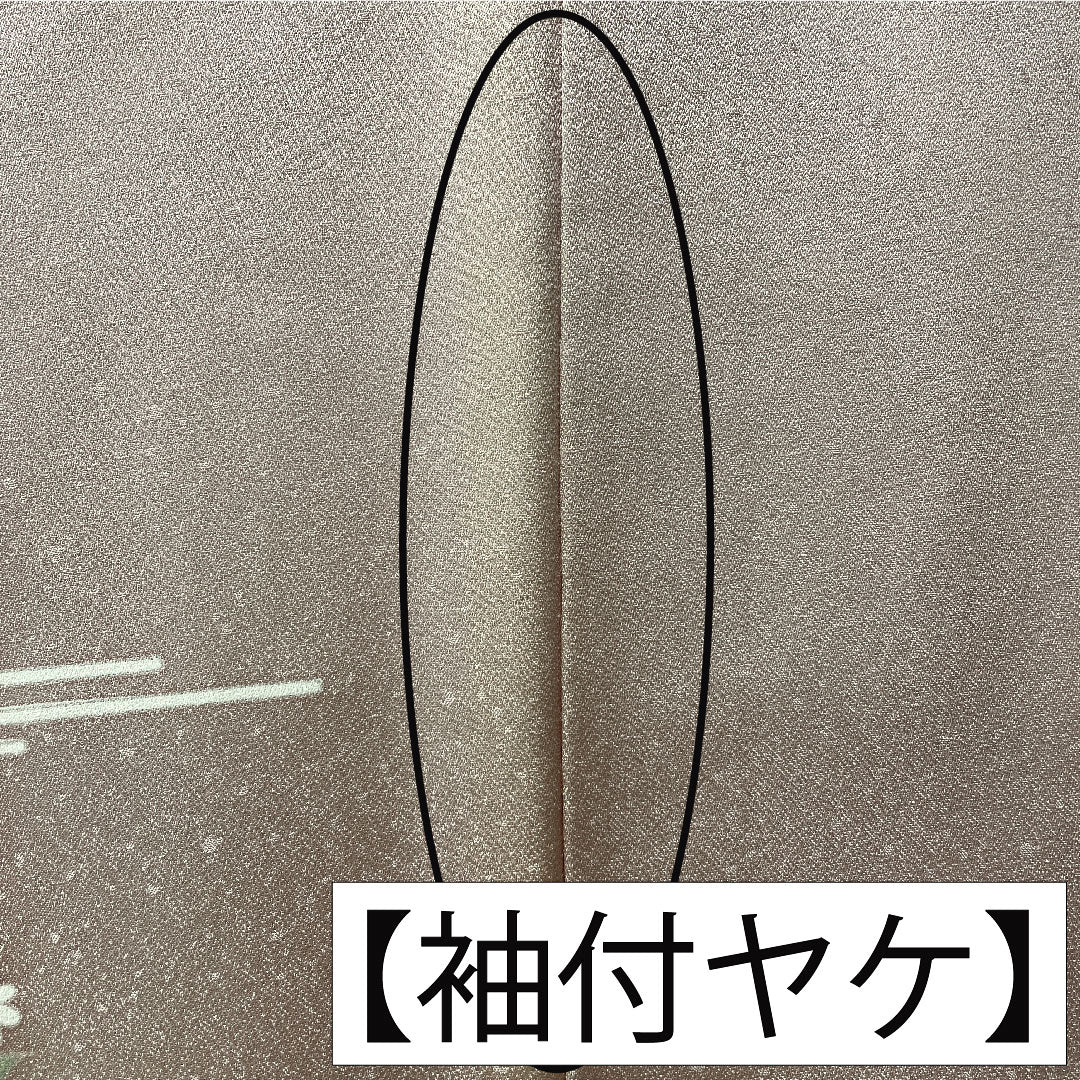 訪問着 正絹 袷 身丈160.5cm 裄丈63cm 白梅色（しらうめいろ） 京友禅 茶屋辻模様 Bランク ピンク系 1112005894413