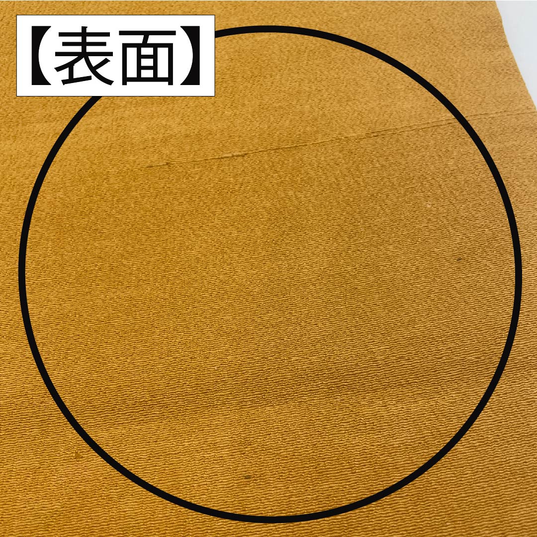 Nagoya Obi, Pure Silk, Grade A, Biwachairo (Biwa-chairo), Kyoto Bingata Design, Peony and Butterfly Design, Length 355cm, Six-Ply, Casual, Beige, Product Number 1124009273325, Nagoya Style
