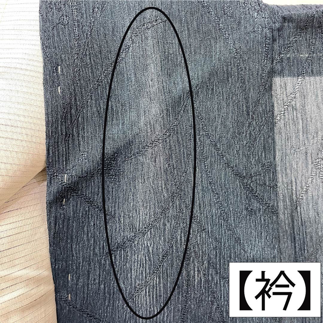 夏物 ポリエステル 色無地 Aランク 身丈160cm 裄丈63.5cm 青墨色（あおずみいろ） 草花模様 縮風 紗 緑系 1132004623419