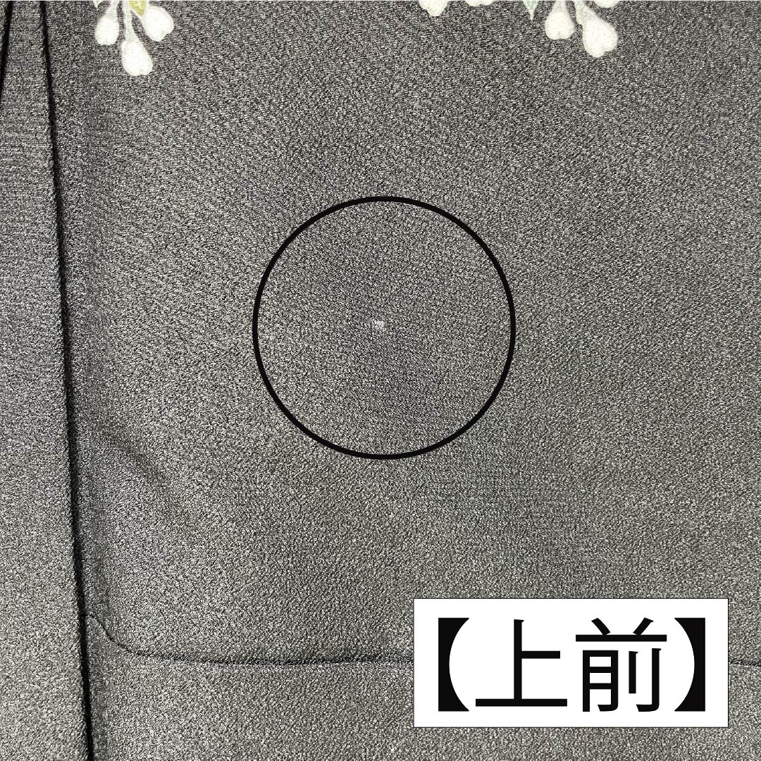 訪問着 ポリエステル Aランク 袷 身丈165.5cm 裄丈66cm 草木 洗える着物 黒系 1112006483510