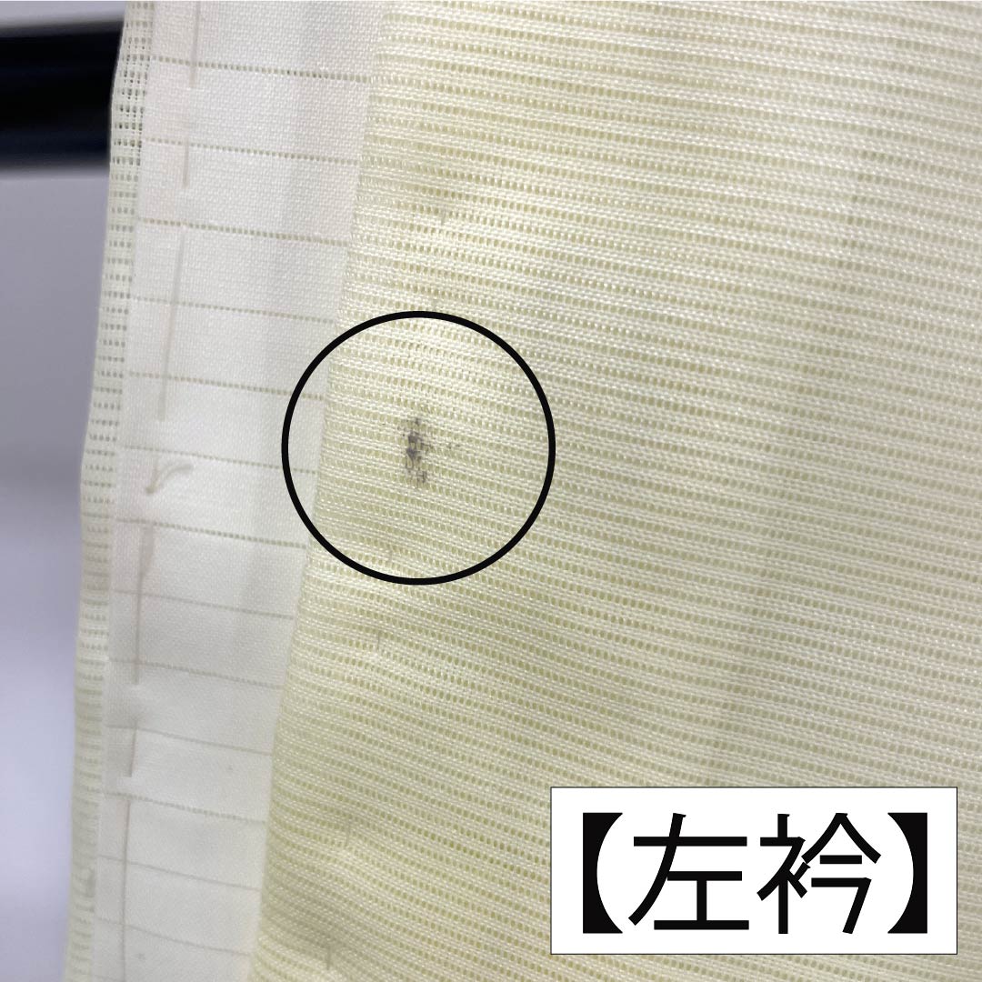 夏物 ポリエステル 訪問着 Aランク 身丈160.5cm 裄丈63cm 白百合色（しらゆりいろ） 竹 付下げ 洗える着物 絽 黄系 1132003453423