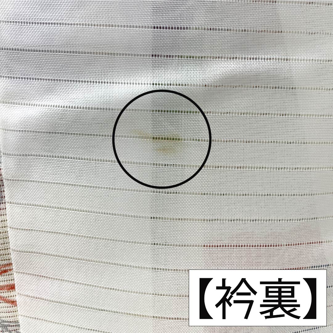 夏物 ポリエステル 小紋 Aランク 身丈166.5cm 裄丈66cm 乳白色（にゅうはくしょく） 洗える着物 草花模様 古典柄 絽 白系 1132007163511