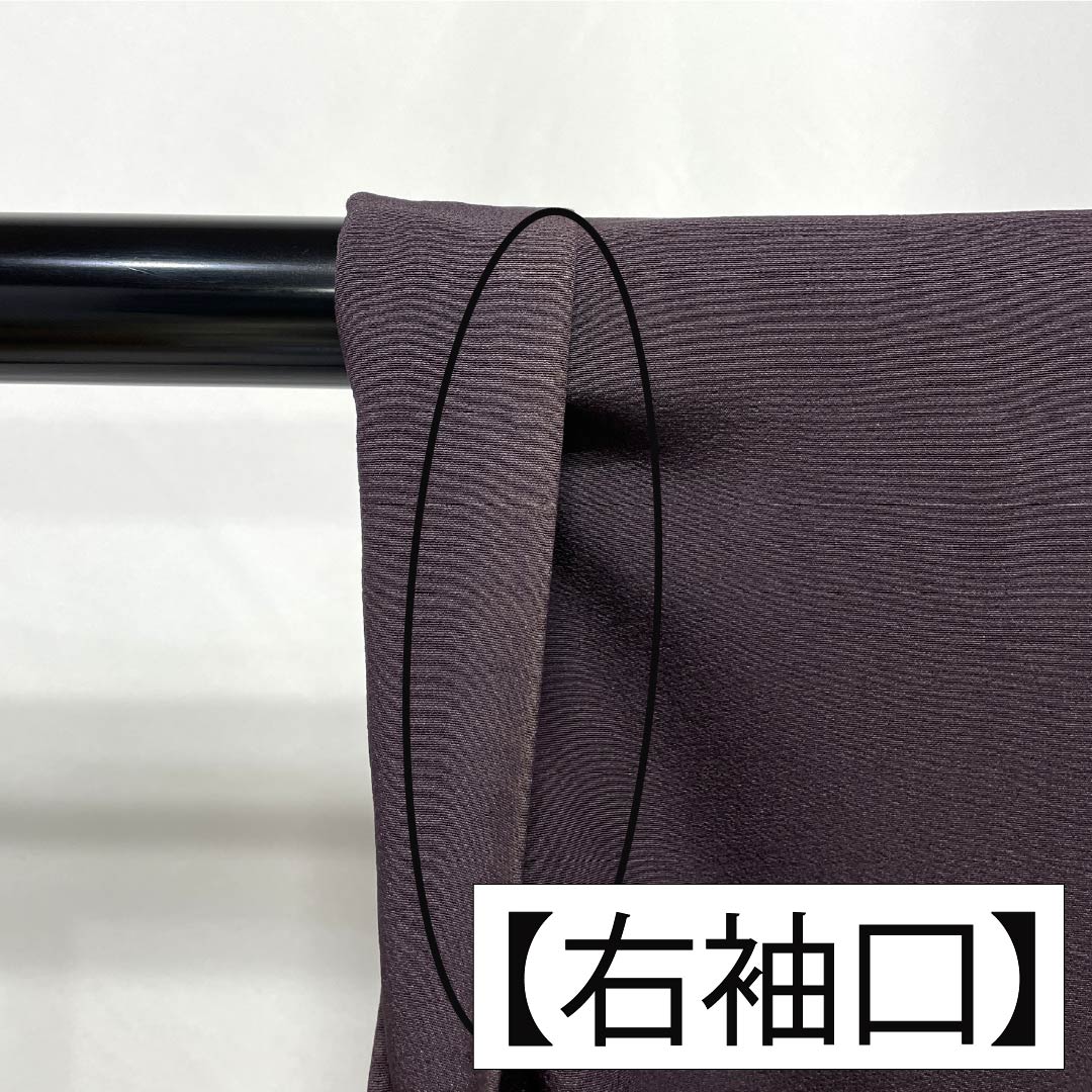 Colored Tomesode (Japanese traditional formal kimono) Pure silk Length 159.5cm Sleeve length 66cm Lined Purple Suzhou embroidery Auspicious motif Pearl tone finish A rank Purple 1111001303320