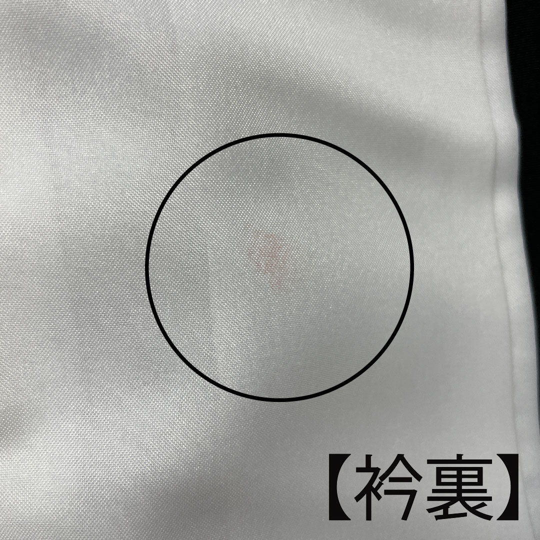 黒留袖 身丈163.5cm 裄丈62.5cm 袷 京友禅 吉祥文様 丸に抱き沢瀉 正絹 Aランク 五つ紋 黒系 1111000633410