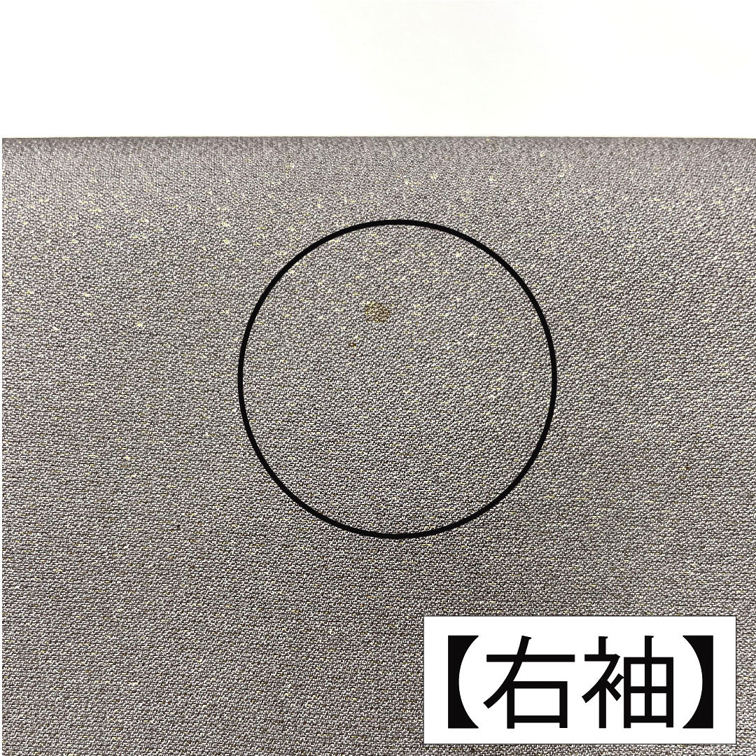 訪問着 正絹 袷 身丈159.5cm 裄丈64.5cm 紫鼠色（むらさきねずいろ） 辻ヶ花 金通し Aランク グレー系 1112005063322