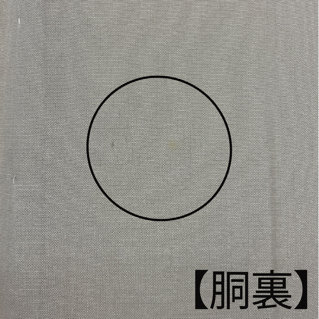 色無地 梅 木瓜  身丈162.5cm 裄丈63.5cm 袷  正絹 Aランク 黄系 1114000393423