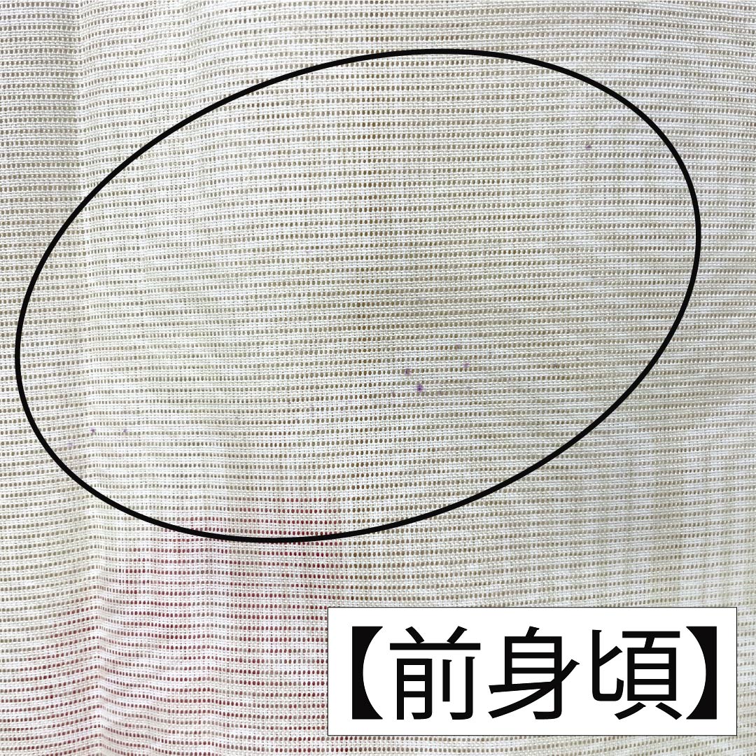 夏物 ポリエステル 小紋 Aランク 身丈158.5cm 裄丈66cm 乳白色（にゅうはくしょく） 蝶 亀甲 絽 クリーム系 1132004543315