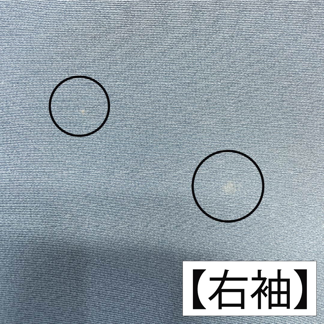 訪問着 正絹 Sランク 袷 身丈155.5cm 裄丈63cm 砧青磁色（きぬたせいじいろ） 加賀友禅 南克治 付下げ 花籠 しつけ糸付き 水色系 1112007312324