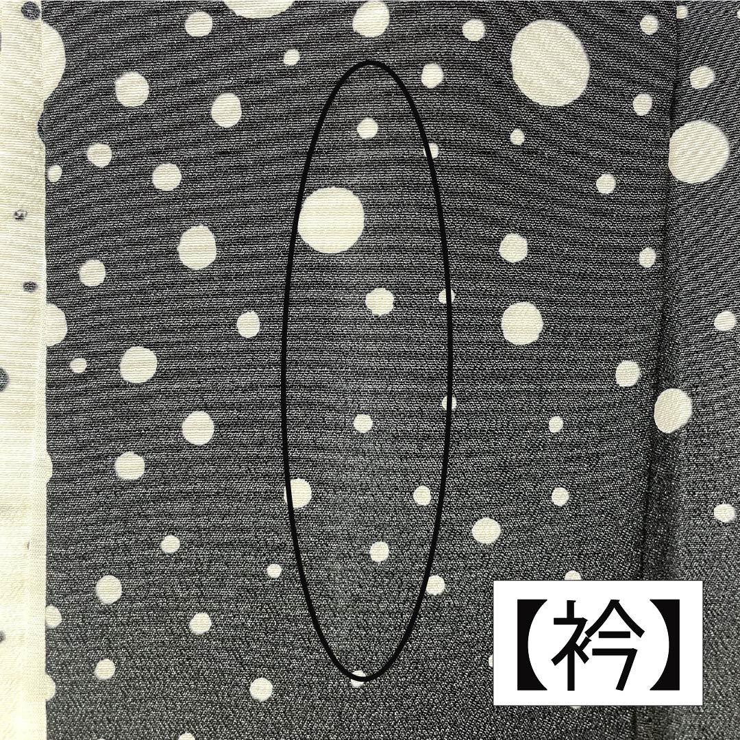 訪問着 ポリエステル Aランク 単衣 身丈154.5cm 裄丈63cm ドット柄 洗える着物 モノトーン 1112006153227