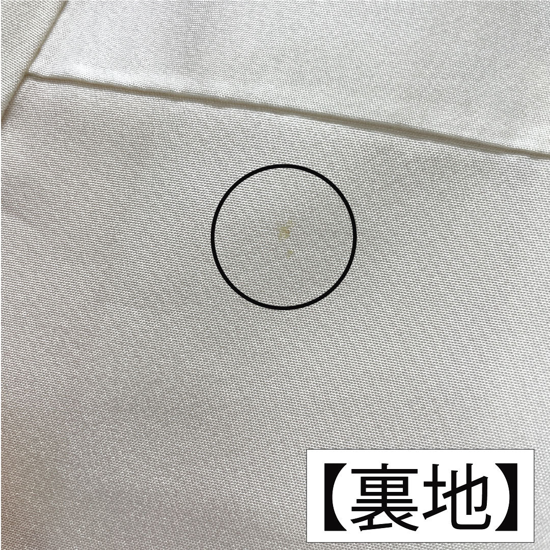 訪問着 正絹 袷 身丈161.5cm 裄丈66.5cm 肌色（はだいろ） 相良刺繡 扇子 鶴 一つ紋 上り藤に大の字 Aランク 橙系 1112005563426