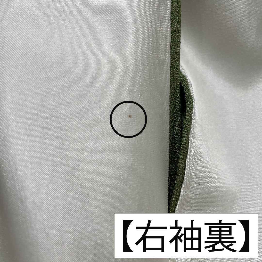 色無地 正絹 身丈164.5cm 裄丈65cm 緑衫色（ろくそういろ）縫い取り 一つ紋 揚羽蝶 袷 Sランク 緑系 1114002012419