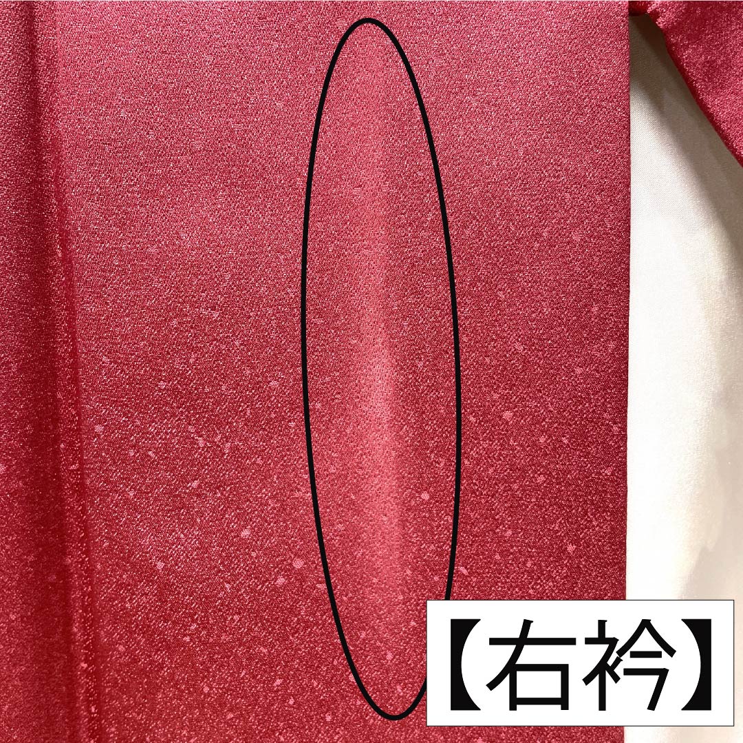 振袖 正絹 Aランク 身丈153.5cm 裄丈64cm 袷 紅鶸色（べにひわいろ） 京友禅 花丸文 牡丹 ソフトガード加工 ピンク系 1113002843213