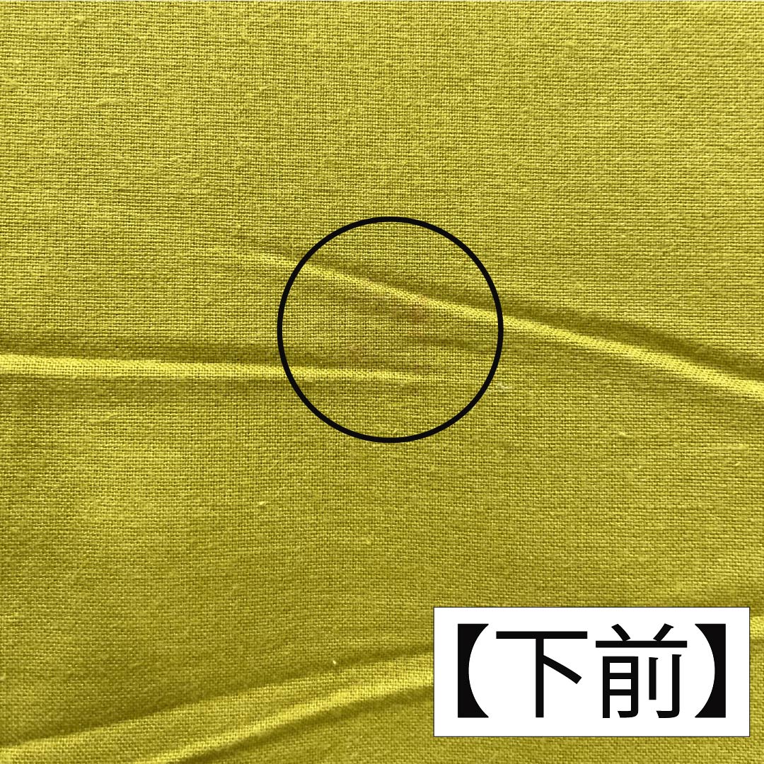 浴衣 木綿 身丈153cm 裄丈62.5cm Aランク 単衣 黄系 浅黄色（あさききいろ） ペンギン 1118005783223