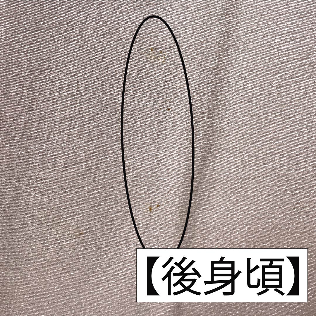 訪問着 正絹 Aランク 袷 身丈150.5cm 裄丈61cm 乙女色（おとめいろ） 加賀友禅 草花 ピンク系 1112006203113