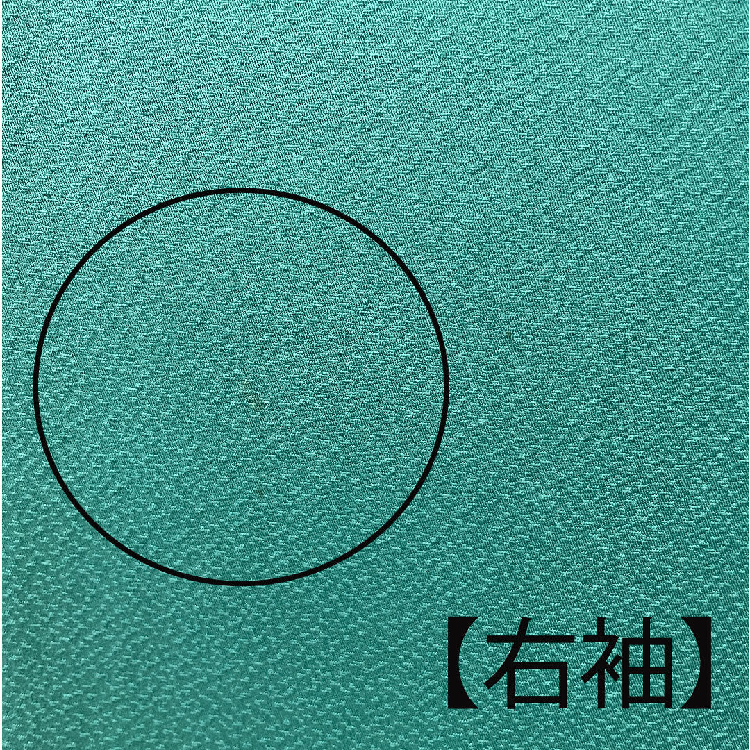 色無地 斉藤三才 三才鳥  身丈152.5cm 裄丈65.5cm 袷  正絹 Aランク 緑系 1114000443219