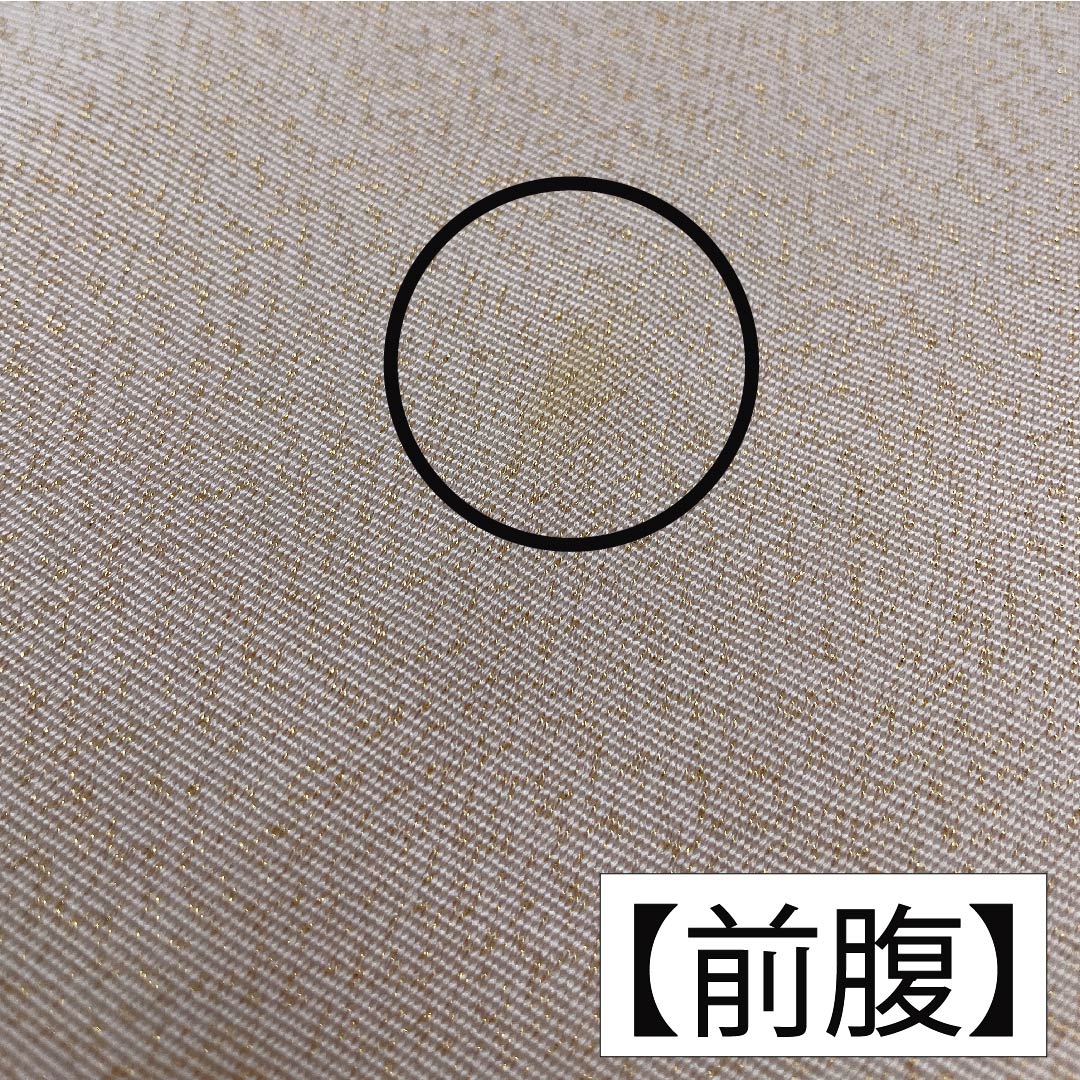 袋帯 正絹 薄肉色（うすにくいろ） 雲取り 帯丈366cm Bランク ポイント柄 フォーマル クリーム系 1123011744315