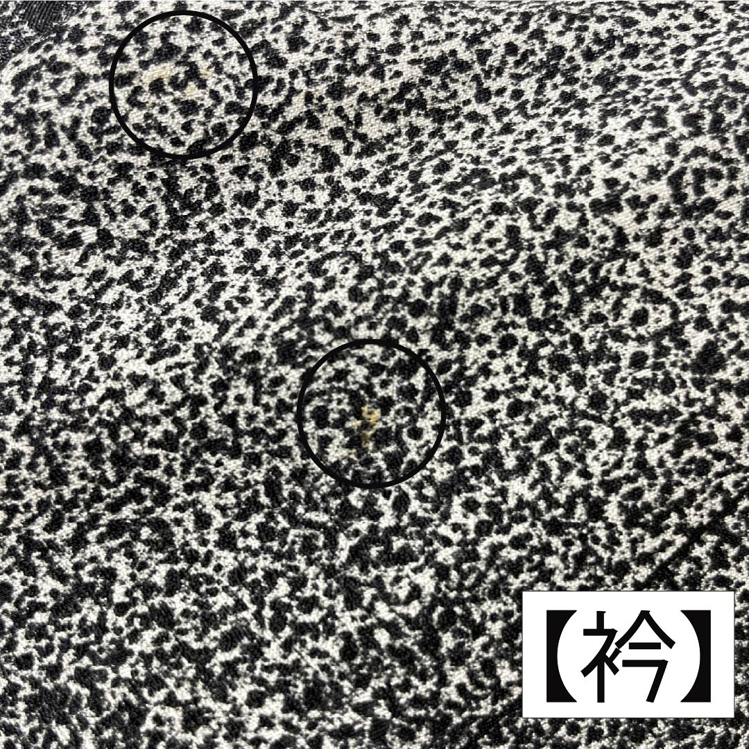 小紋 正絹 身丈157.5cm 裄丈63.5cm 袷 型染 線 小花 Bランク モノトーン 1115005434327