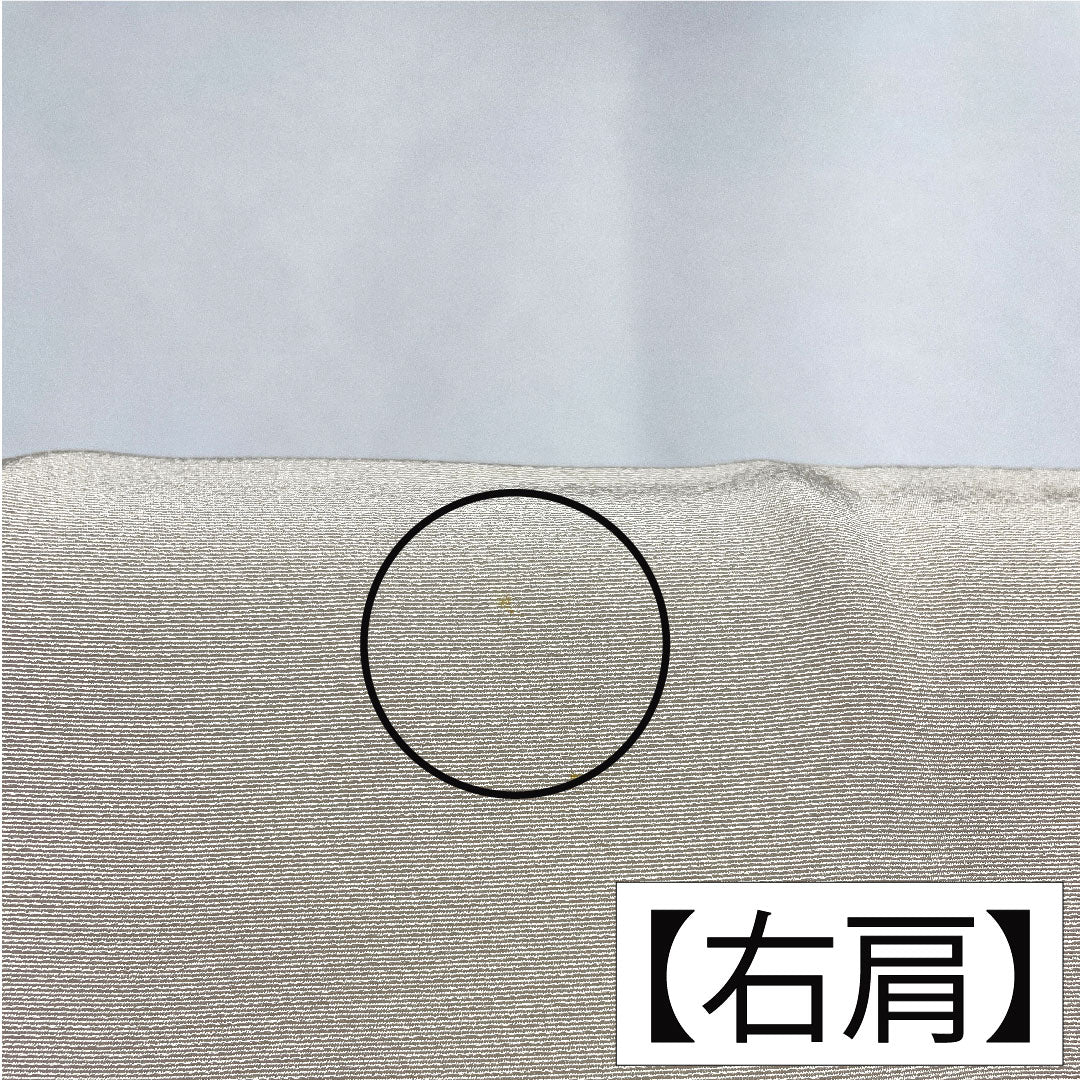 色留袖 正絹 身丈163cm 裄丈64cm 袷 白練色（しろねりいろ） 京友禅 刺繍 時代人物風景模様 一つ紋 三つ柏 パールトーン加工 Aランク ベージュ系 1111001493425