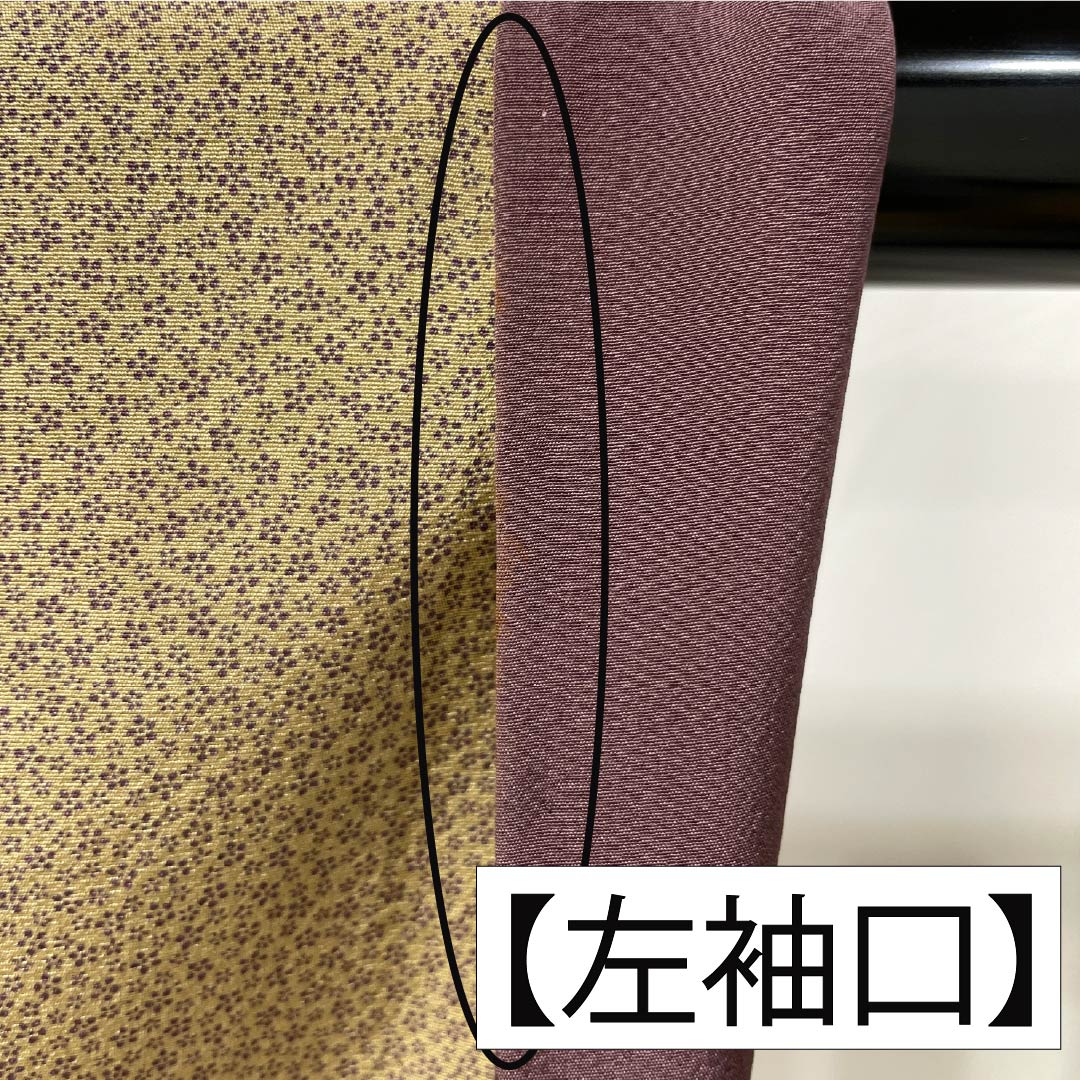小紋 正絹 Aランク 身丈155.5cm 裄丈66cm 袷 胡桃色（くるみいろ） 小梅 型染 ベージュ系 1115006723325