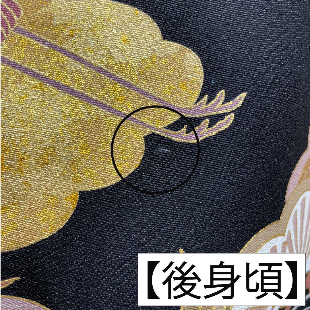 Black formal kimono, pure silk, length 162.5cm, sleeve length 64cm, lined, Kyoto Yuzen, crane, pine, artist's work, five crests, five-three paulownia, A rank, black, 1111001623410