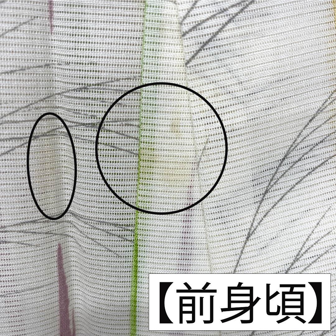 夏物 ポリエステル 小紋 Aランク 身丈158cm 裄丈64cm 乳白色（にゅうはくしょく） 洗える着物 竹 ススキ 絽 クリーム系 1132006083315
