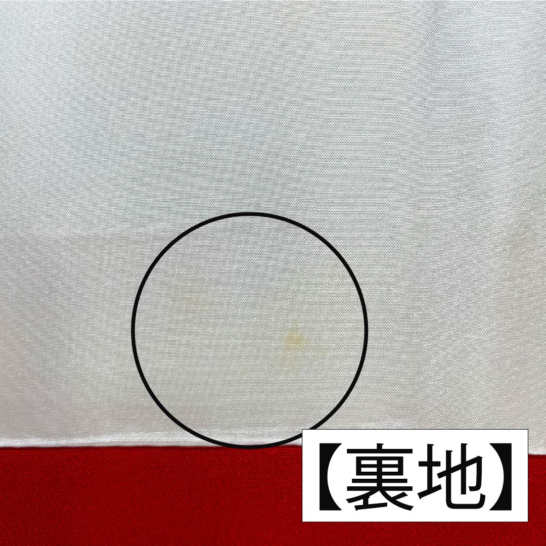 振袖 正絹 Aランク 身丈161cm 裄丈62.5cm 袷 印度藍色（いんどあいいろ） 京友禅 牡丹 紅葉 紺系 1113002833418