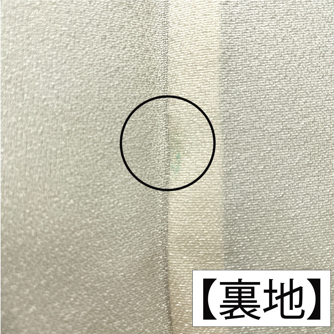 色留袖 正絹 身丈159cm 裄丈63cm 袷 薄緑色（うすみどりいろ） 寿光織 風景模様 一つ紋 Sランク 緑系 1111001702319