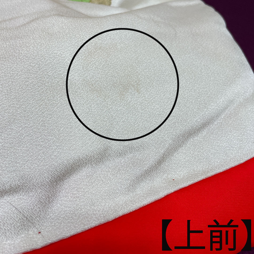 色打掛 正絹 身丈191cm 裄丈65cm  唐織 金彩加工 鶴 Bランク 袷 白系 1110000664911