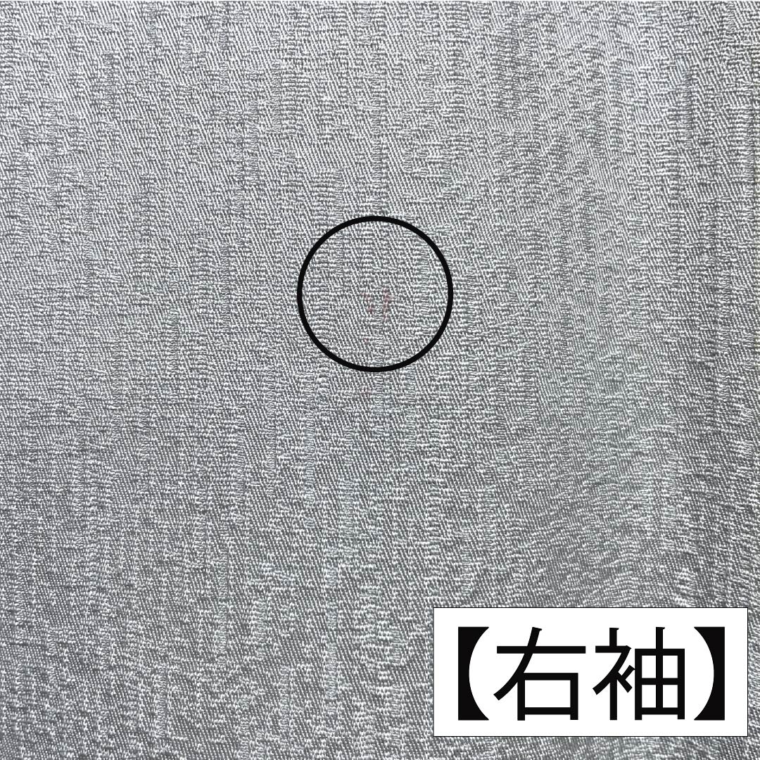 訪問着 正絹 Bランク 袷 身丈168cm 裄丈62cm 白銅色（はくどういろ） 蘇州刺繡 草花 流水 しつけ糸付き グレー系 1112007524522