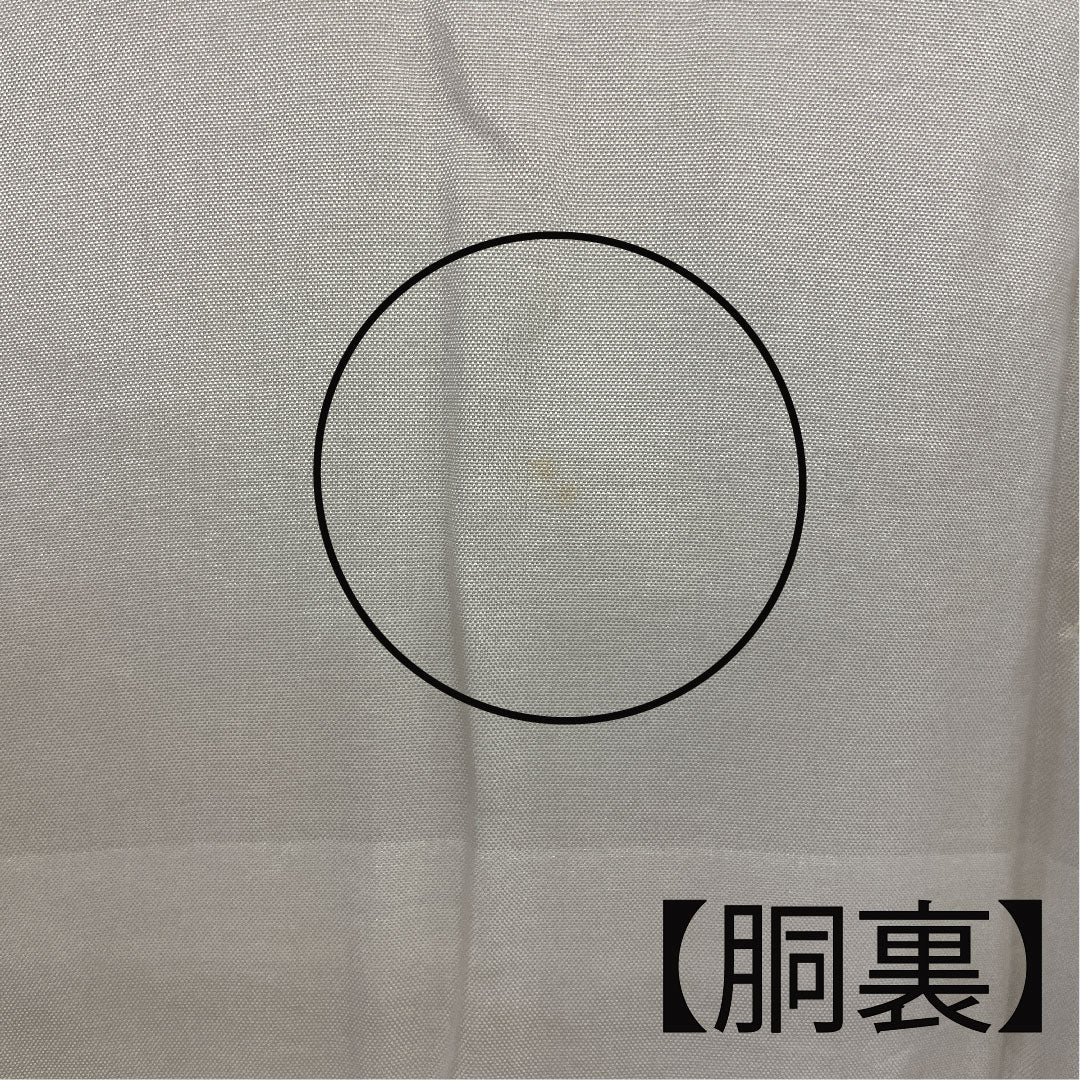 色無地 梅 木瓜  身丈162.5cm 裄丈63.5cm 袷  正絹 Aランク 黄系 1114000393423