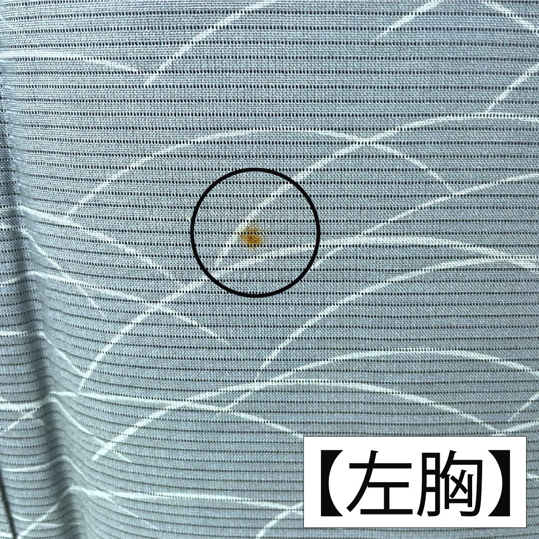 夏物 正絹 小紋 Aランク 身丈157cm 裄丈62cm 浅葱鼠色（あさぎねずいろ） 露芝 絽 緑系 1132004713319