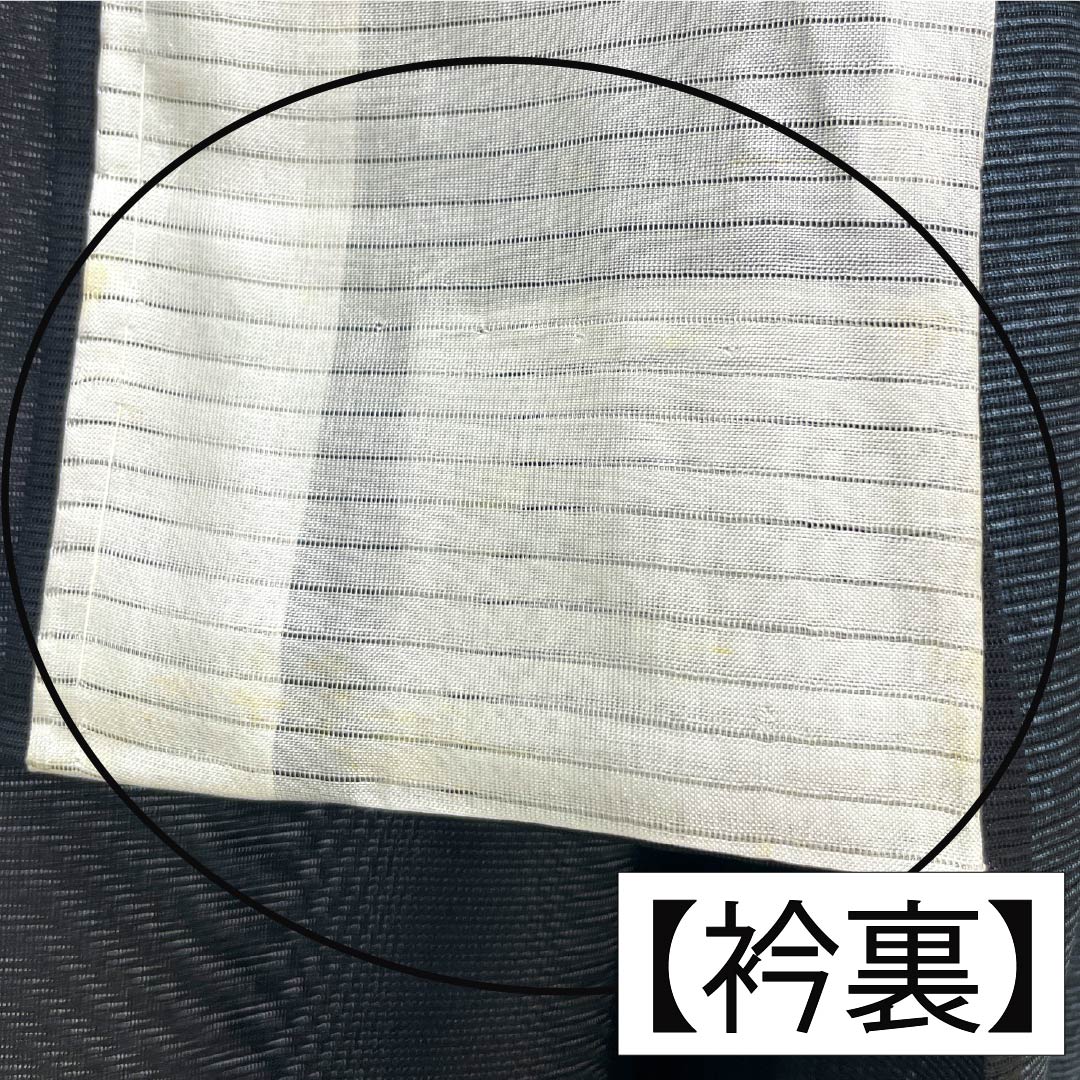 夏物 ポリエステル 付下げ Aランク 身丈153.5cm 裄丈64.5cm 草花模様 洗える着物 絽 黒系 1132005243210