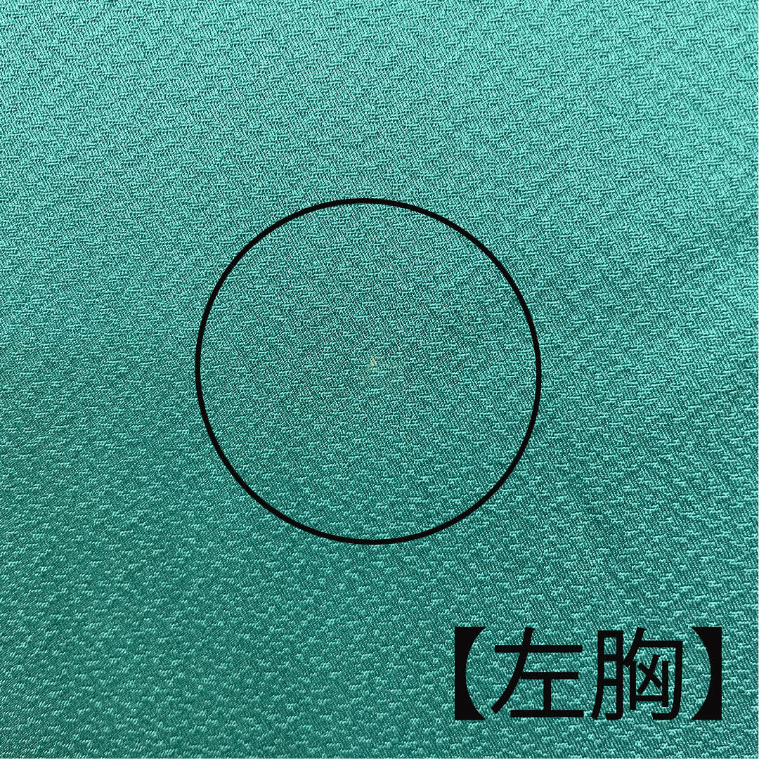 色無地 斉藤三才 三才鳥  身丈152.5cm 裄丈65.5cm 袷  正絹 Aランク 緑系 1114000443219