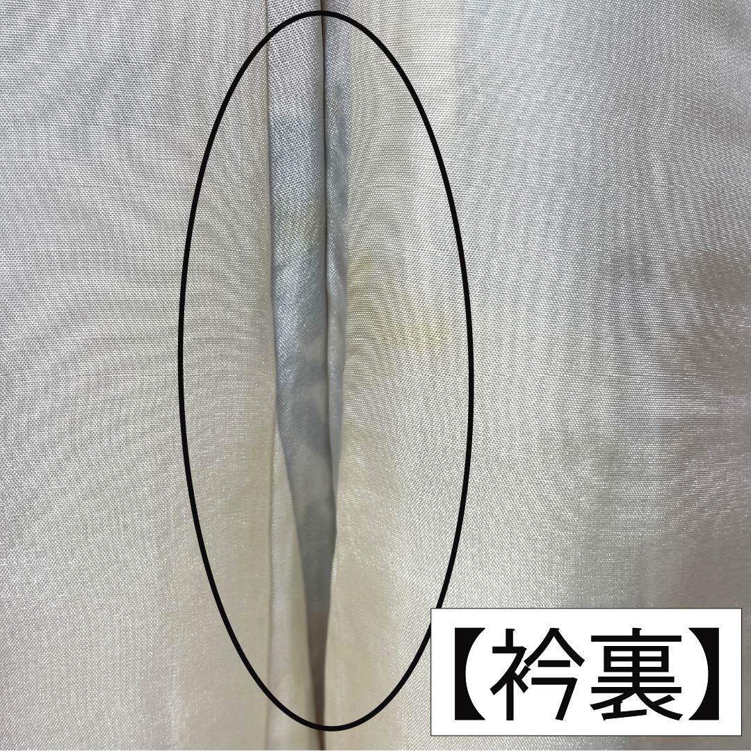 振袖 正絹 Sランク 身丈166cm 裄丈67cm 袷 赤色（あかいろ） 京紅型 束ね熨斗 ちりめん地 赤系 1113002412512