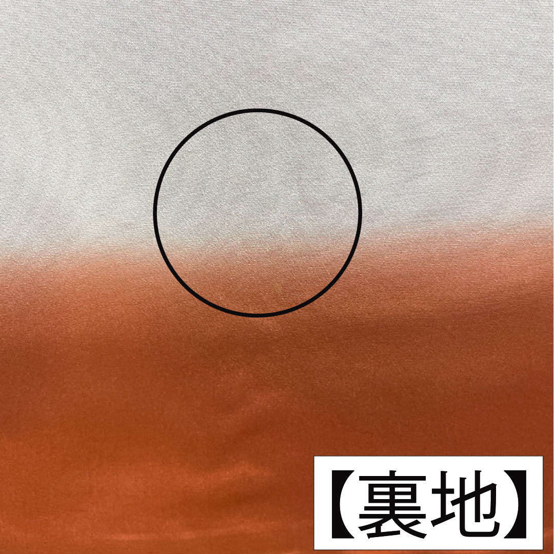 訪問着 正絹 袷 身丈153.5cm 裄丈67.5cm 赤錆色（あかさびいろ） 辻ヶ花 Aランク 茶系 1112004873214