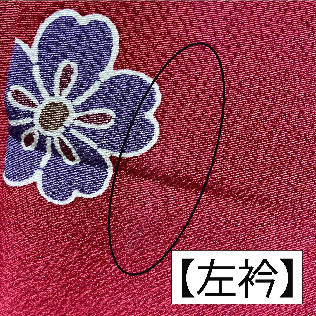 振袖 正絹 Aランク 身丈158.5cm 裄丈67cm 袷 紅赤色（べにあかいろ） 京紅型 吉祥文様 蝶 菖蒲 橘 赤系 1113002283312