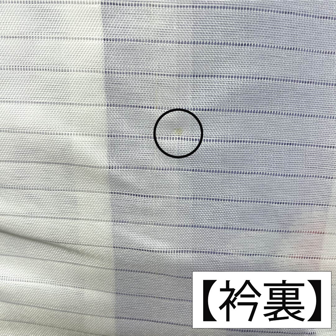 夏物 ポリエステル 小紋 Aランク 身丈159cm 裄丈63.5cm 藤色（ふじいろ） 洗える着物 草花模様 絽 紫系 1132006123320