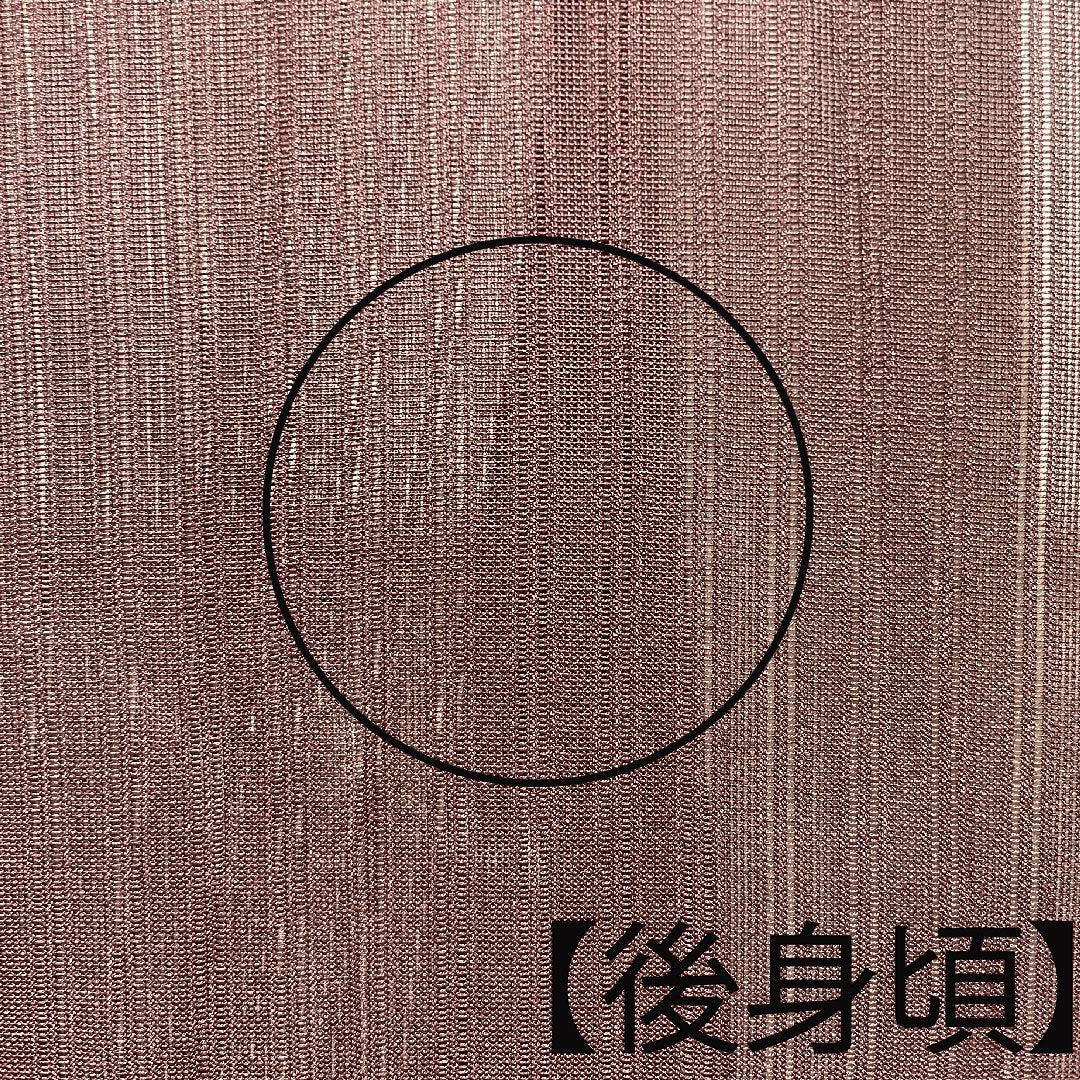夏物 正絹 色無地 身丈160cm 裄丈60cm 紫土色（しどいろ） 竪絽（たてろ） 絽 Aランク 紫系 1132001093420