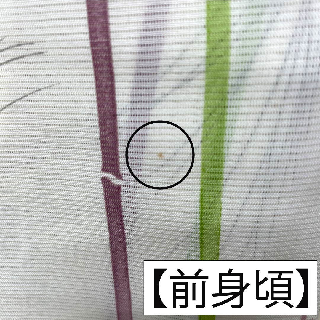 夏物 ポリエステル 小紋 Aランク 身丈158cm 裄丈64cm 乳白色（にゅうはくしょく） 洗える着物 竹 ススキ 絽 クリーム系 1132006083315