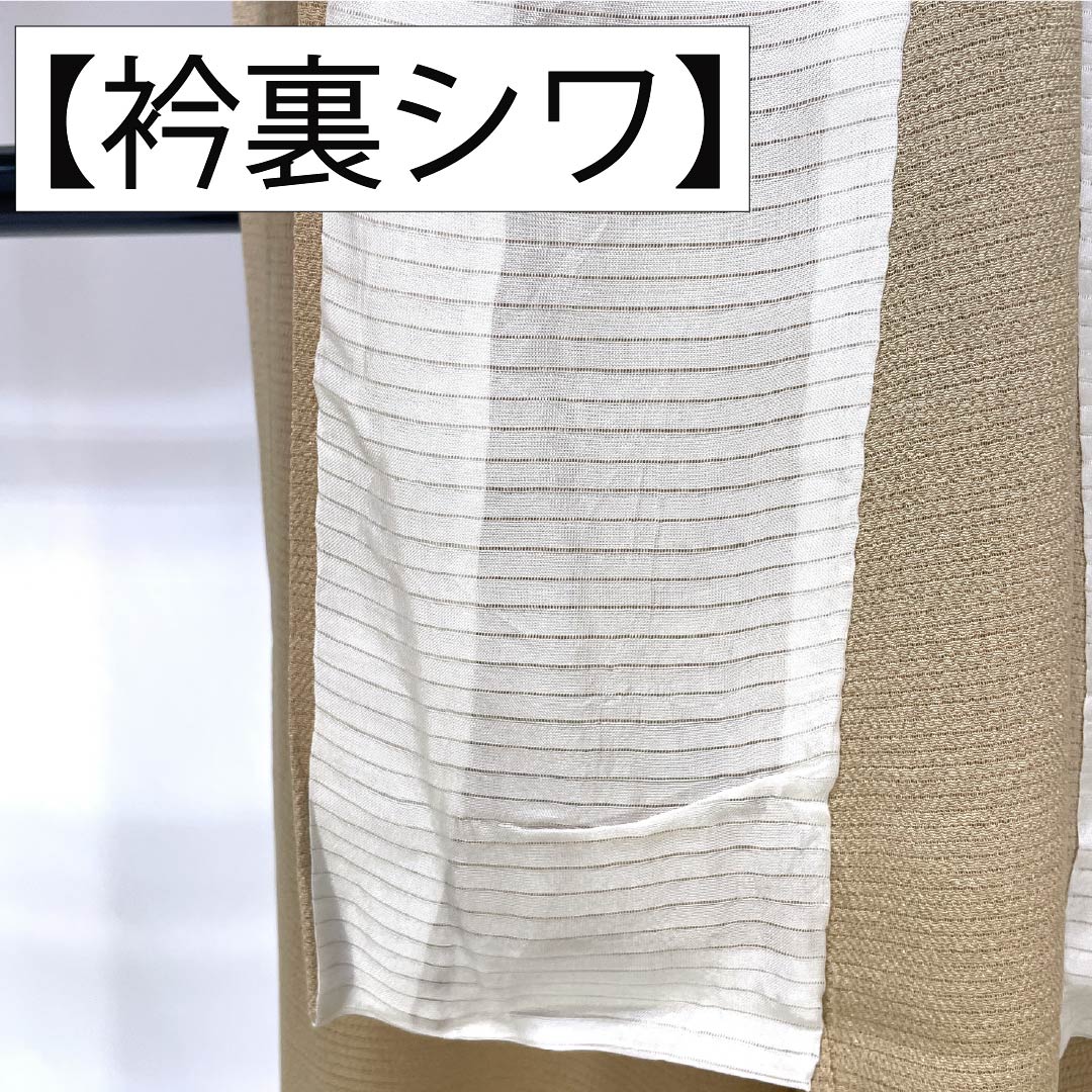 夏物 正絹 付下げ Sランク 身丈150.5cm 裄丈62cm 丁子色（ちょうじいろ） 南克治 加賀友禅 一つ紋 絽 ベージュ系 1132005062125