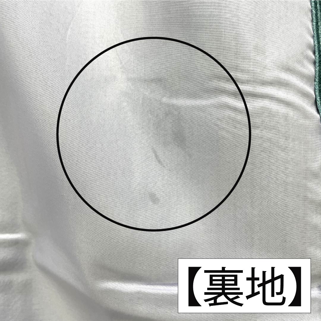 Polyester Komon A rank, length 164cm, sleeve to sleeve 63cm, unlined, Hanarokushō-iro, stencil-dyed, stripes, flower petals, with hip reinforcement, green-toned 1115007863419
