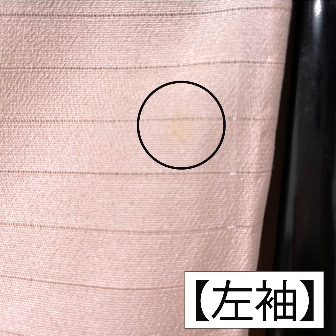 夏物 ポリエステル 付下げ Aランク 身丈165.5cm 裄丈68.5cm 退紅色（あらそめいろ） 洗える着物 露芝 蝶 絽 ピンク系 1132006263513