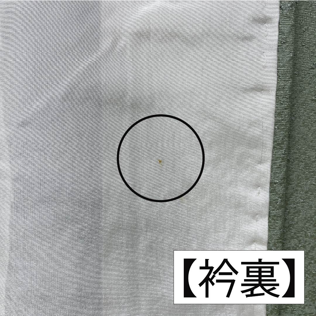 色無地 正絹 Bランク 身丈154cm 裄丈65cm 裏葉色（うらはいろ） 単衣 緑系 1114002374219