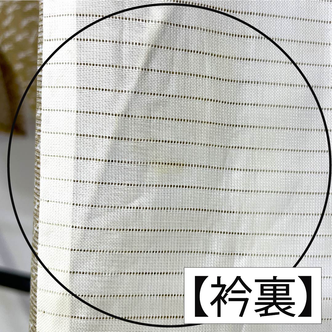 夏物 ポリエステル 小紋 Aランク 身丈151.5cm 裄丈61.5cm 芽色（かやいろ） 松葉 洗える着物 絽 ベージュ系 1132005403225