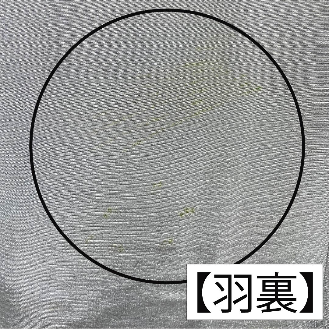 男物 正絹 Aランク 身丈cm 裄丈cm  藍鉄色（あいてついろ） ひげ紬 緑系 1119001123119