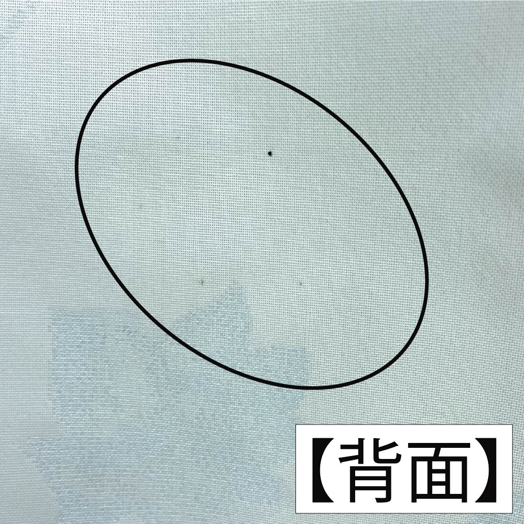 夏物 ポリエステル お召 Aランク 身丈159.5cm 裄丈64.5cm 青白磁色（せいはくじいろ） すくい織 薔薇 洗える着物 紗 水色系 1132004963324