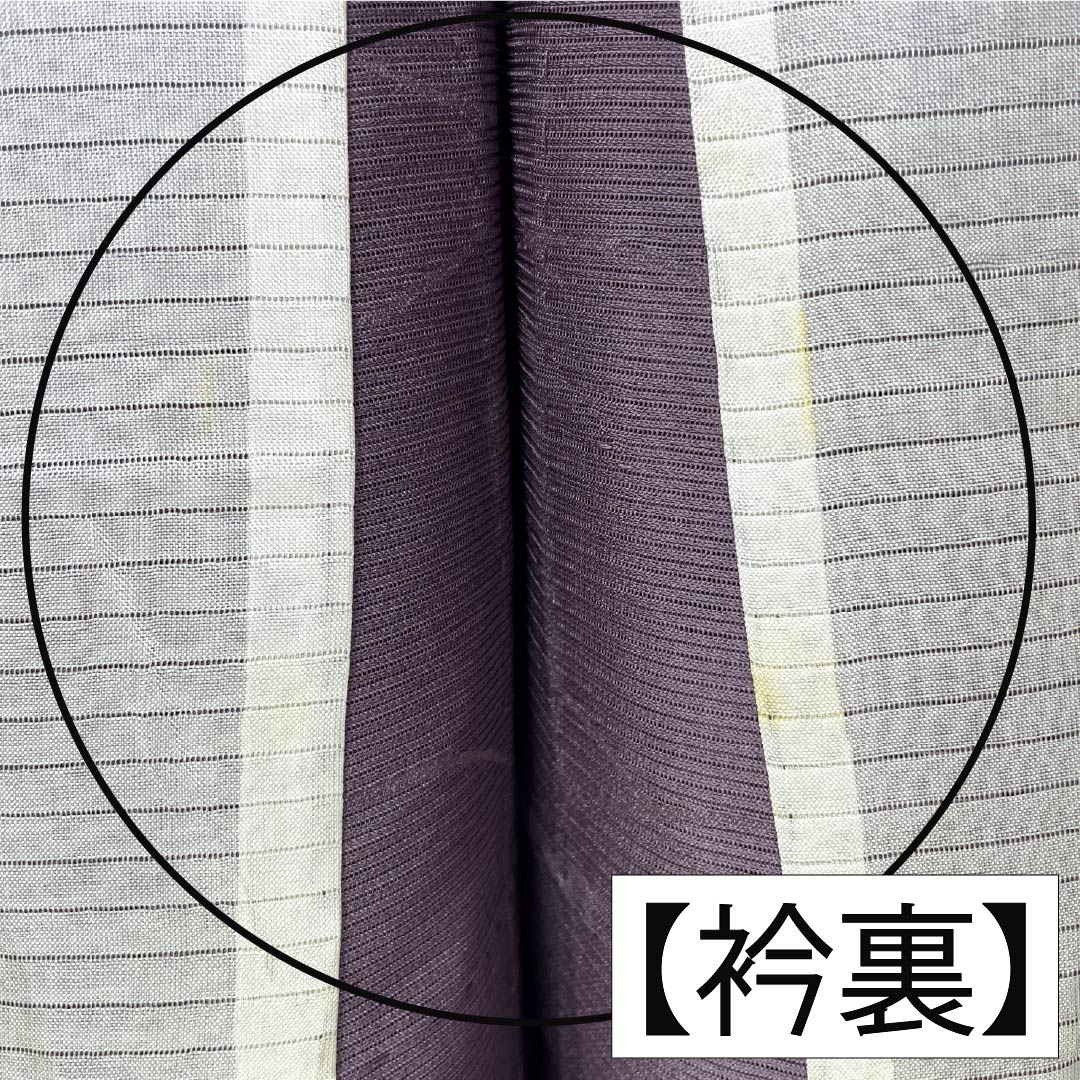 夏物 正絹 色無地 Bランク 身丈154cm 裄丈63cm 中滅紫色（なかのけしむらさきいろ） 露芝 絽 紫系 1132004464220