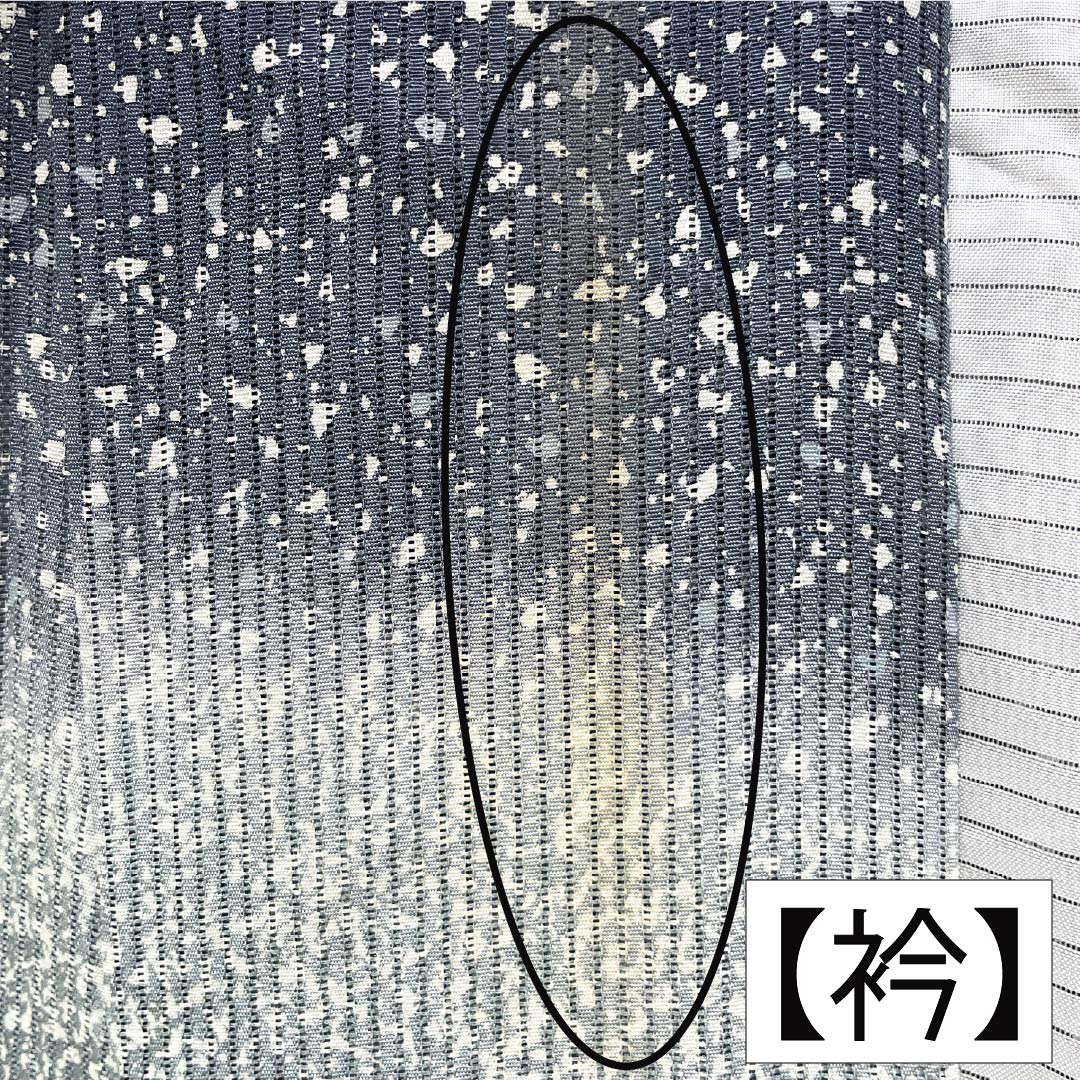 夏物 正絹 訪問着 Aランク 身丈161.5cm 裄丈66cm 浅葱鼠色（あさぎねずいろ） 竪絽 江戸小紋 タタキ染 絽 青系 1132005043417
